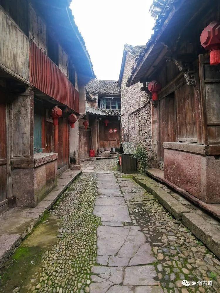 动物帮帮忙保卫家园